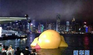 香港大黄鸭被热爆 香港大黄鸭被热爆