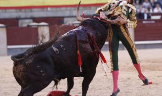 广场舞西班牙斗牛士