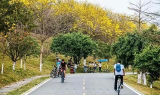 深圳周边自驾游 深圳周边自驾游